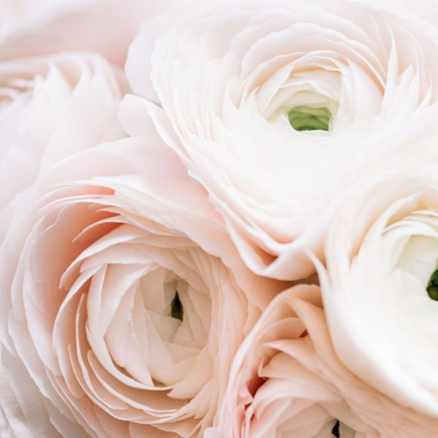 Idei de cadou floral pentru aniversări și onomastici