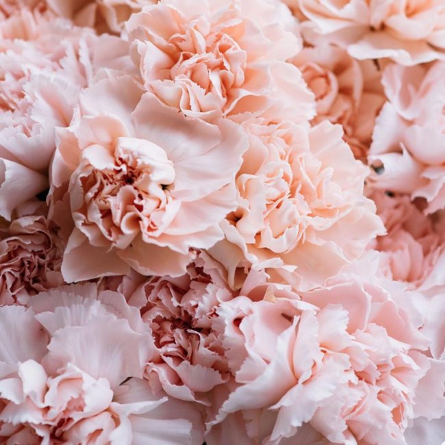 Top 5 buchete de mireasă în tendințe în 2025